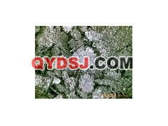 矿产金属求购回收新机遇 第28页背后的资源循环密码